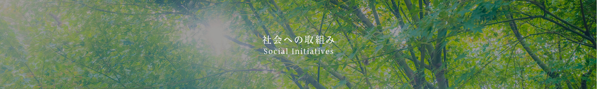 社会への取組み